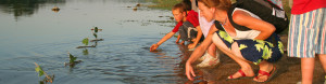 Animations spéciales Loire