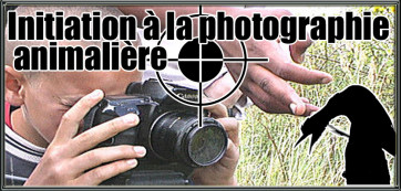 initiation photographie