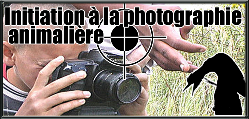 initiation photographie