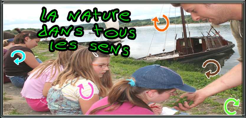 la nature dans tout les sens