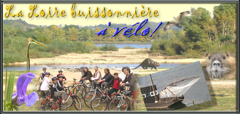 la loire buissonière a velo, decouverte de la nature sauvage