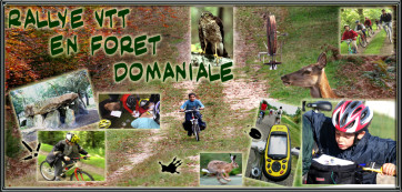 rally VTT enfants en foret domanial