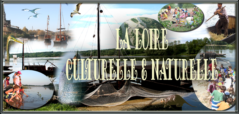 la loire culturelle et naturelle