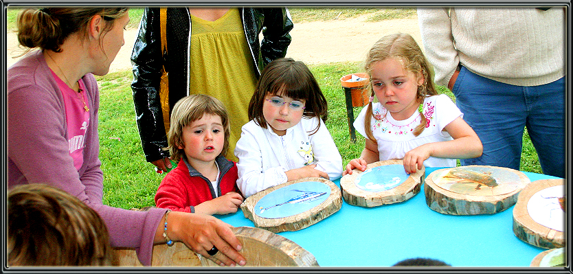 stand d'animation pour fête de la nature